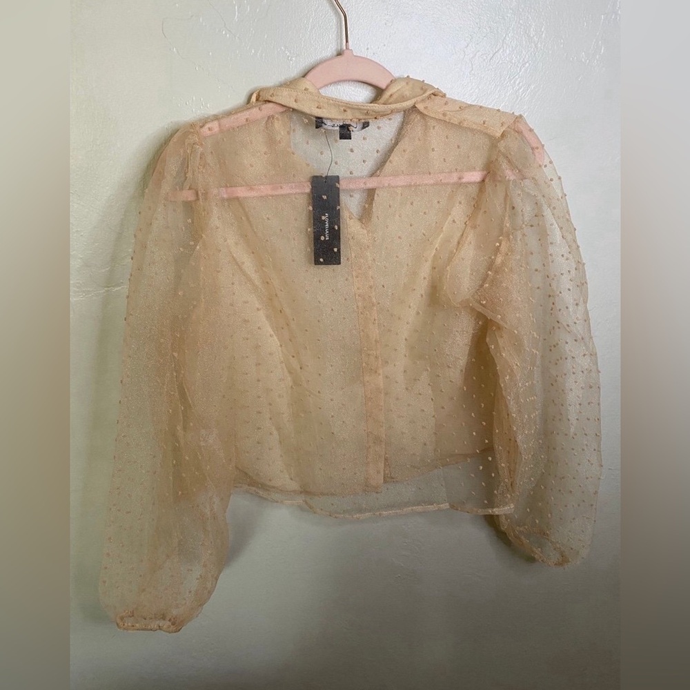 Lulu's Sheer Top - Picture 2 of 3